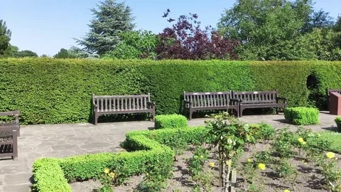 Summer garden Stock Footage 72373869