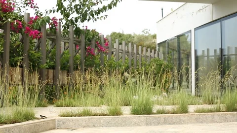 Summer garden Stock Footage 111476126