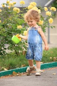 Summer garden Stock Photos