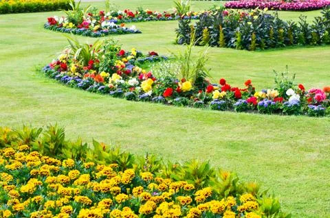 Summer garden Stock Photos