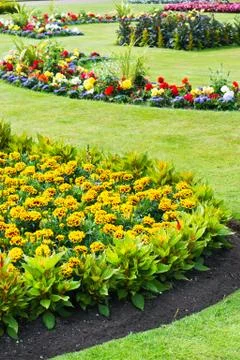 Summer garden Stock Photos