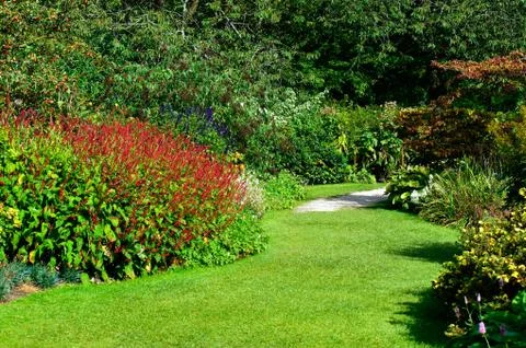 Summer garden Stock Photos
