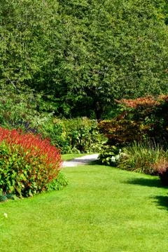 Summer garden Stock Photos