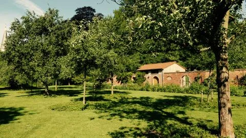 Summer in a garden. 库存照片