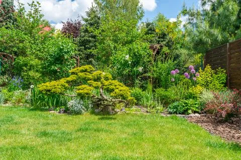 Summer garden Foto stock