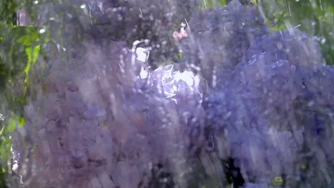 Summer garden view through rainy window. Stock Footage 98678328