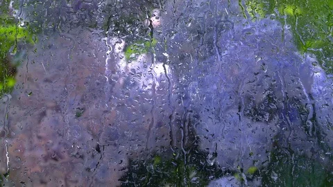 Summer garden view through rainy window. Stock Footage 98678435