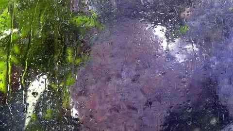 Summer garden view through rainy window close up. Stock-Footage 98678469