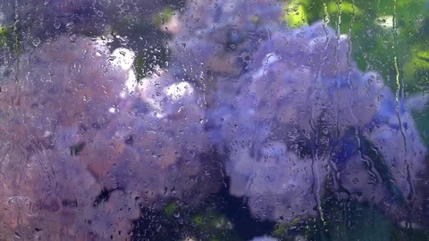 Summer garden view through rainy window close up. Stock Footage 98678751