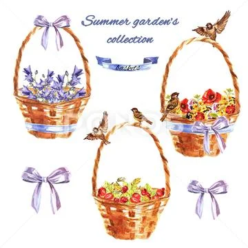 Summer garden's set with wicker baskets with flowers, sparrows and berries. Stock Illustration