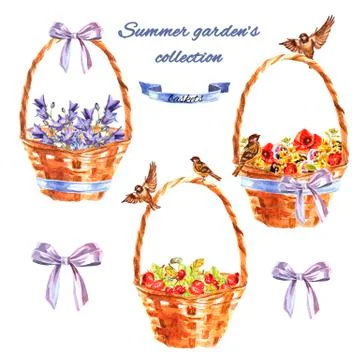Summer garden's set with wicker baskets with flowers, sparrows and berries. Stock Illustration