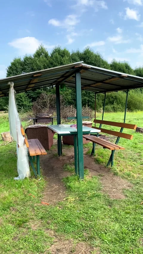 Summer gazebo in a forest clearing. Vertical video Stock Footage 282188729