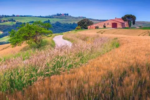 Summer grain fields and stone farmhouse in Tuscany, Italy, Europe Stock-Fotos