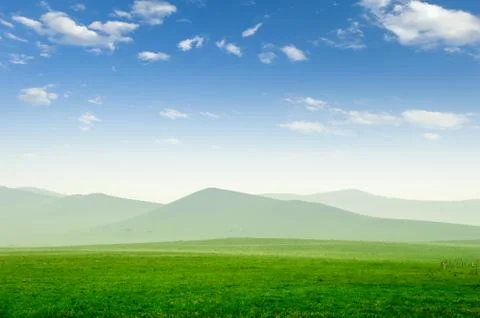 Summer grass field Stock Photos