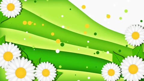 Summer green background with chamomiles Stock Footage 105768692