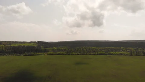 Summer green field Stock Footage 146708378