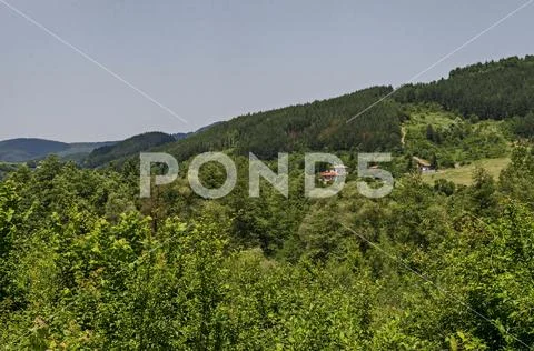 Summer green forest, glade, valley and residential district in the mountain Stock Photos