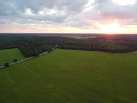 Summer green forest in the rays of the setting sun aerial photography Stock Photos