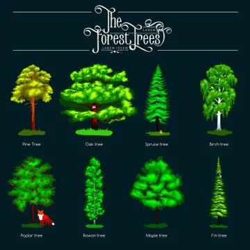Summer Green Forest Tree isolated on dark background. Cartoon vector set tr.. Stock Illustration
