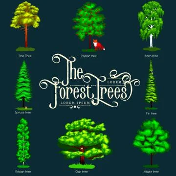 Summer Green Forest Tree isolated on dark background. Cartoon vector set tr.. Stock Illustration