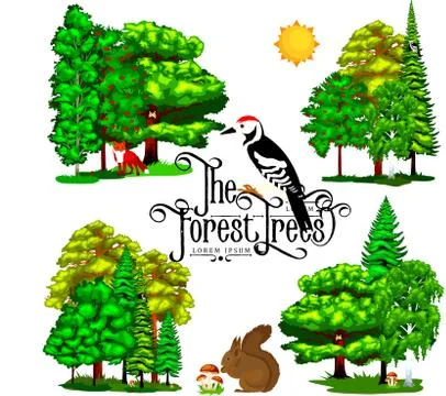 Summer Green Forest Tree isolated on white background. Cartoon vector set t.. Stock Illustration