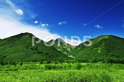 Summer green hills Stock Photos