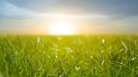 Summer green prairie with grass at the dramatic sunset time lapse scene Stock-Footage 248035924