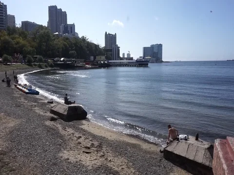 Summer in the Harbor Vídeo Stock 80946406