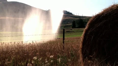 Summer Harvest Video stock 14902888