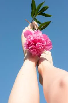 Summer has come. Stock Photos