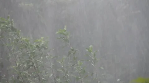 Havy Rain Stock Videos – Royalty-Free HD & 4K Videos | Pond5