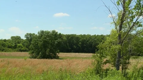 Summer hay field timelapse Stock Footage 76917081