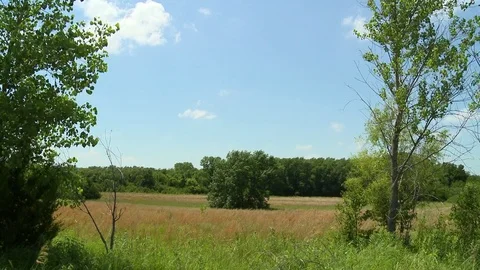 Summer hay field view timelapse Stock Footage 76917901
