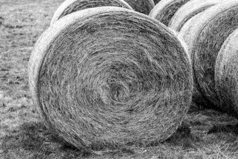Summer hay Stock-Fotos