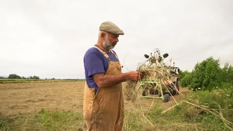 Summer haying on the farm Stock Footage 246874118