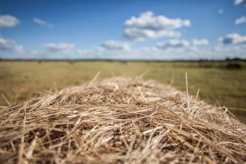 Summer haymaking Stock Photos