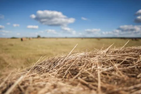 Summer haymaking Stock Photos