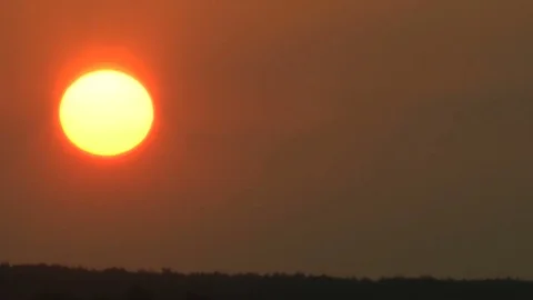 In a summer haze the sun at sunset changes the color on yellow and red. Видео 70284487