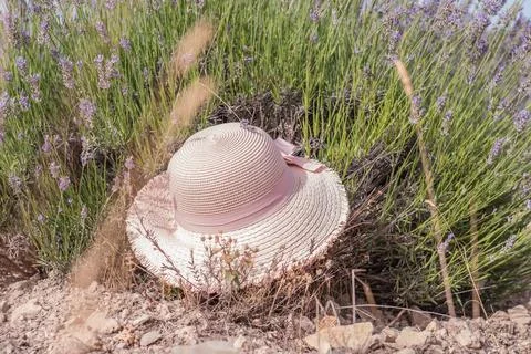 Summer headwear presentation. An elegant straw sunhat perched atop blooming l 스톡 사진