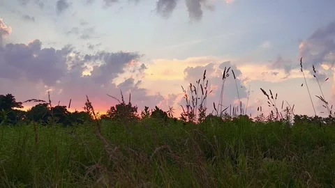 Summer heat clouds over a quiet prairie landscape at sunset Stock Footage 312023241