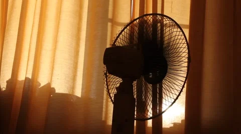 Summer heat Stock Footage 950222