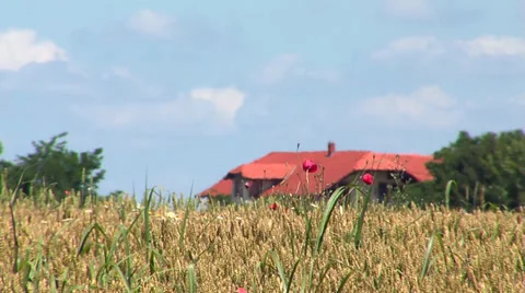 Summer heat Stock Footage 34085985