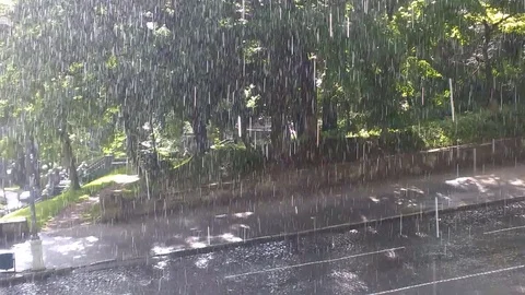 Summer Heavy rain in park Stock Footage 76097031