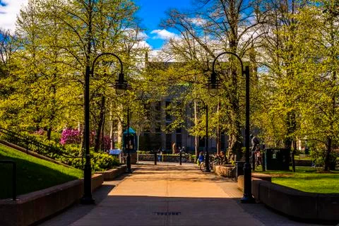 Summer is Here Stock Photos