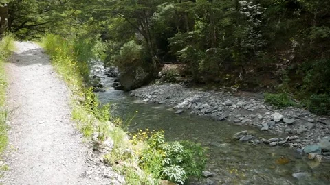 Summer hike next to beautiful river in New Zealand Stock Footage 260775902