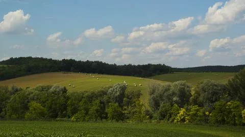 Summer hills 4K Stock Photos