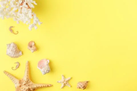 Summer holiday background with beach items. Stock Photos