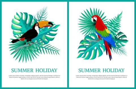 Summer Holiday Posters Set Vector Illustration Stock Illustration