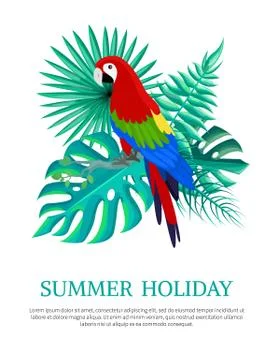 Summer Holiday Text Poster Vector Illustration Stock Illustration