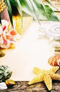 Summer holidays background Stock Photos